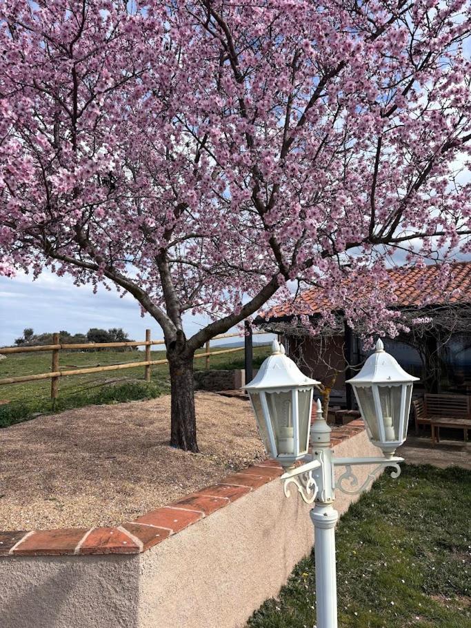 Casa Rural Explora, Pastores Exteriér fotografie